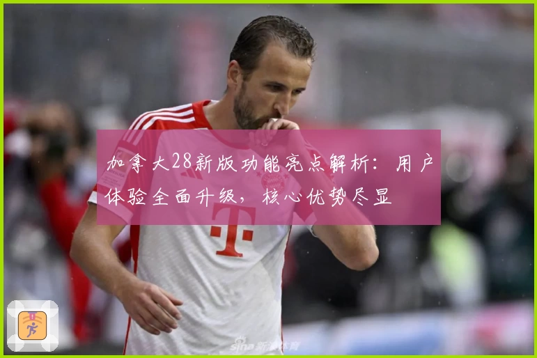 加拿大28新版功能亮点解析：用户体验全面升级，核心优势尽显