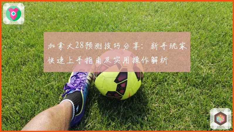 加拿大28预测技巧分享：新手玩家快速上手指南及实用操作解析