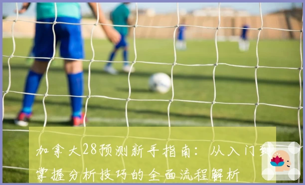 加拿大28预测新手指南：从入门到掌握分析技巧的全面流程解析