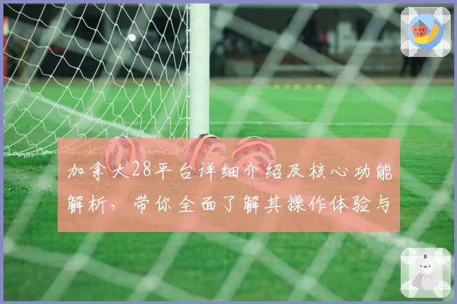 加拿大28平台详细介绍及核心功能解析，带你全面了解其操作体验与用户口碑