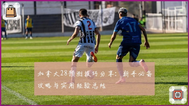 加拿大28预测技巧分享：新手必备攻略与实用经验总结