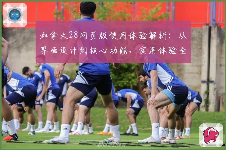 加拿大28网页版使用体验解析：从界面设计到核心功能，实用体验全揭晓