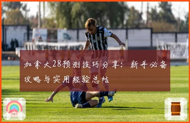 加拿大28预测技巧分享：新手必备攻略与实用经验总结