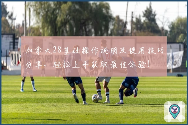 加拿大28基础操作说明及使用技巧分享，轻松上手获取最佳体验！