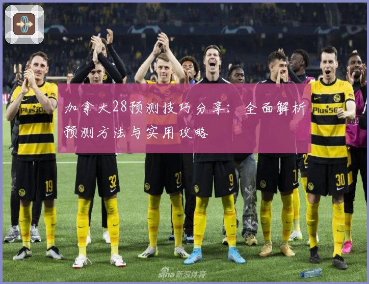加拿大28预测技巧分享：全面解析预测方法与实用攻略