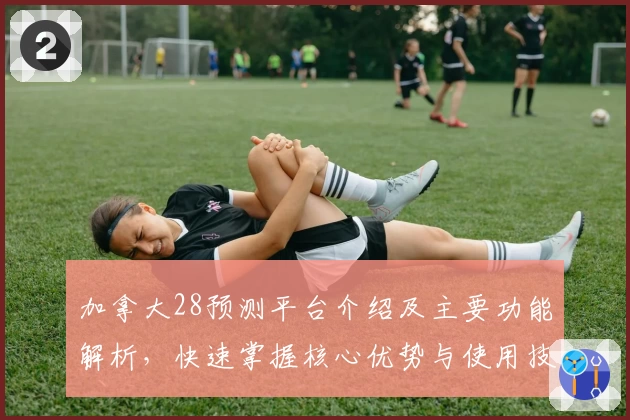 加拿大28预测平台介绍及主要功能解析，快速掌握核心优势与使用技巧