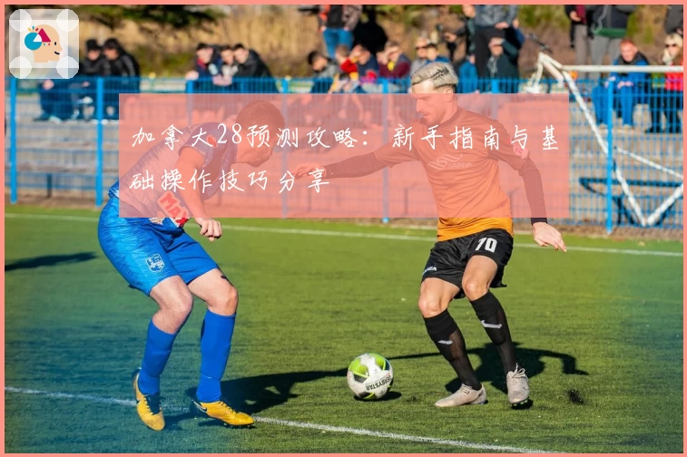 加拿大28预测攻略：新手指南与基础操作技巧分享