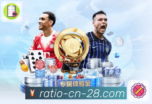 号码组合统计分析面板